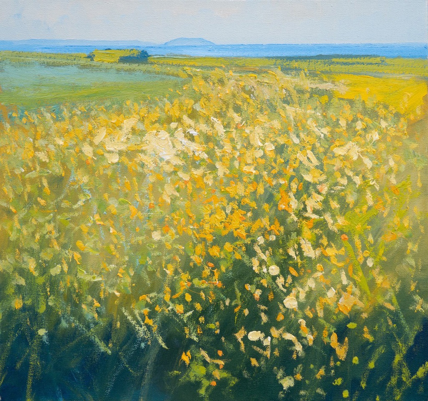 Introduction to Painting in Oil and Acrylic with Tim Gaudion