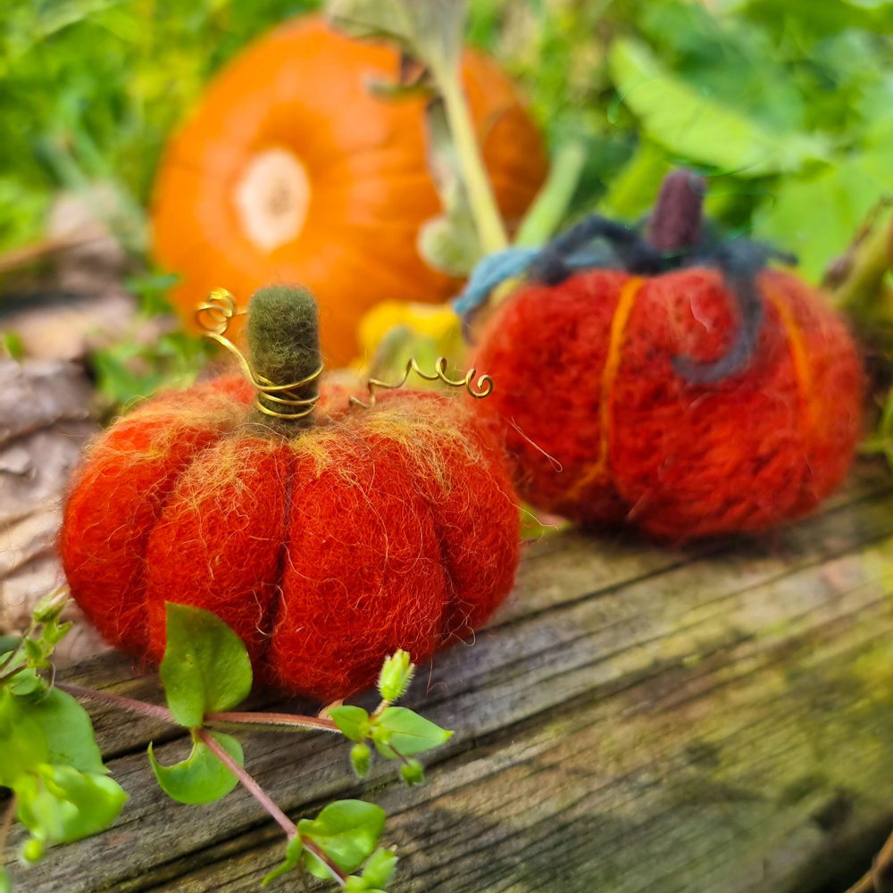 Poster for Needle Felted Pumpkin with Iris & Dora