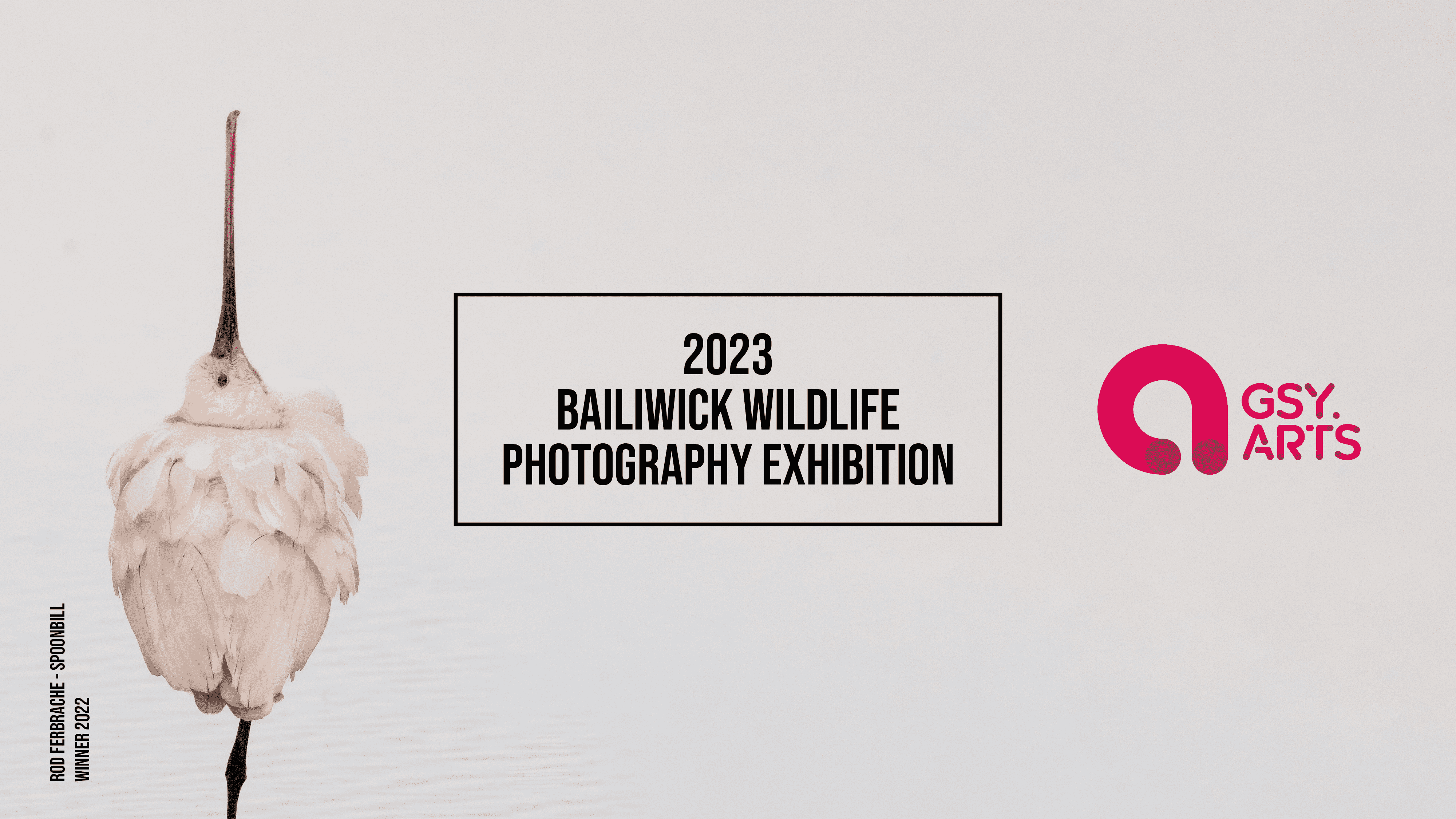 2023 Bailiwick Wildlife Photography Exhibition