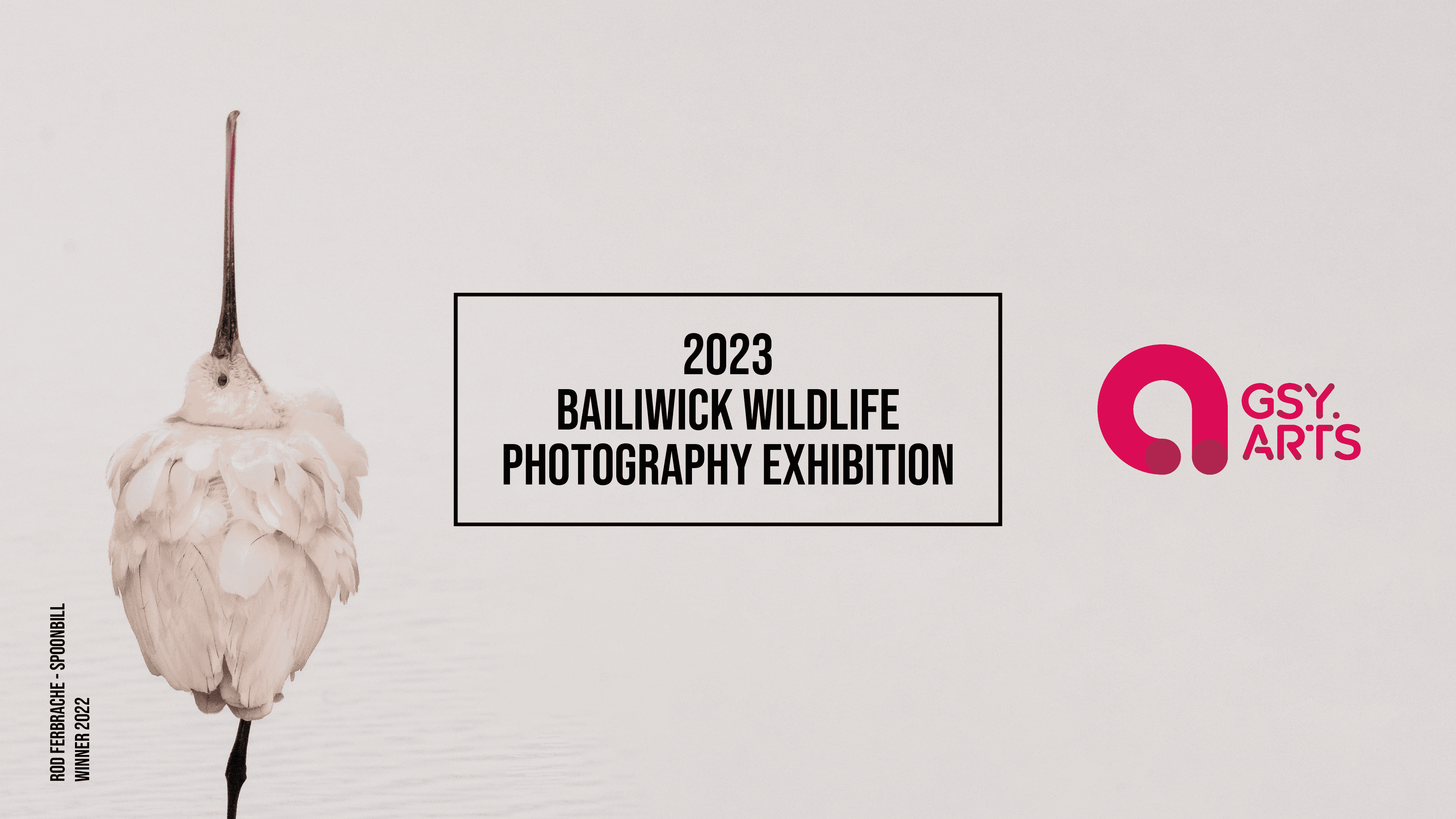2023 Bailiwick Wildlife Photography Exhibition